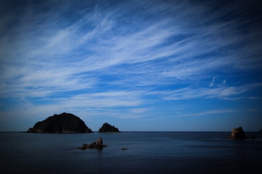 6月4日の写真