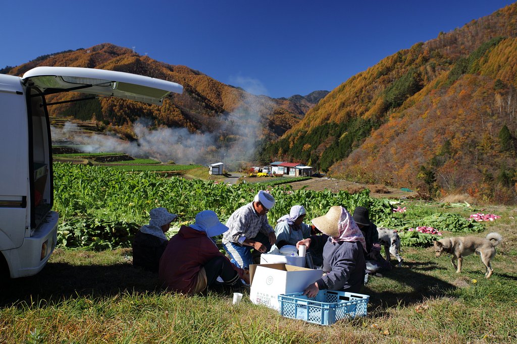 錦の茶会