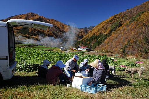 錦の茶会