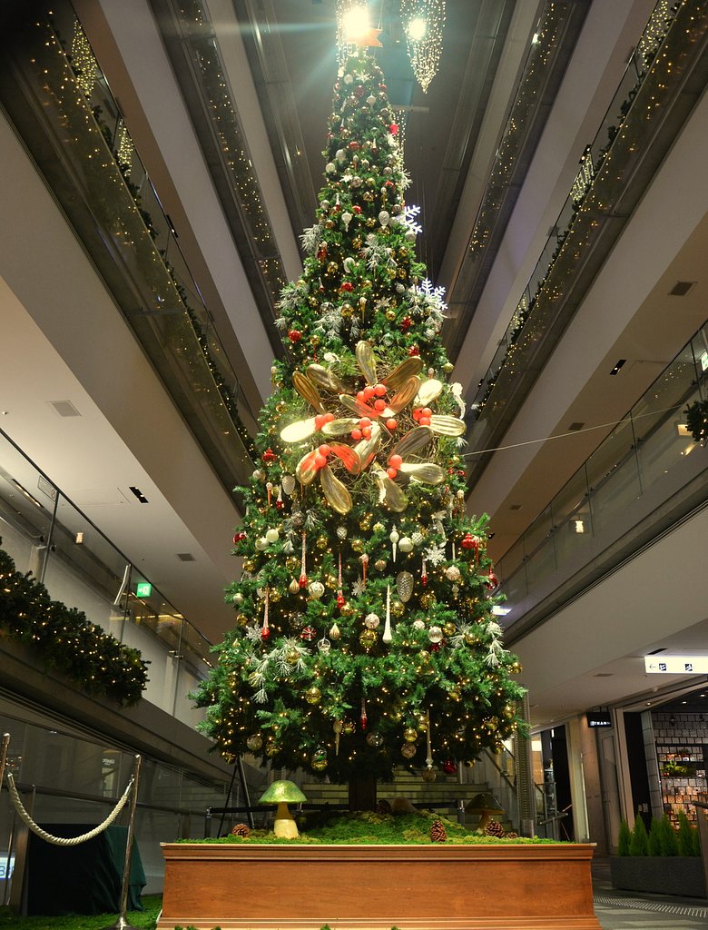 クリスマツツリー