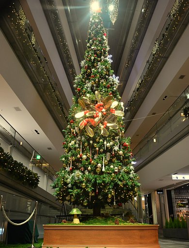クリスマツツリー