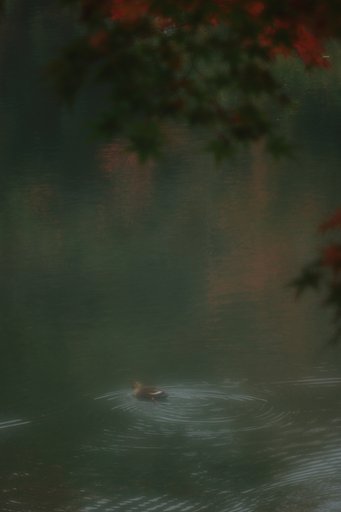 フジノン180mmF5.6SF