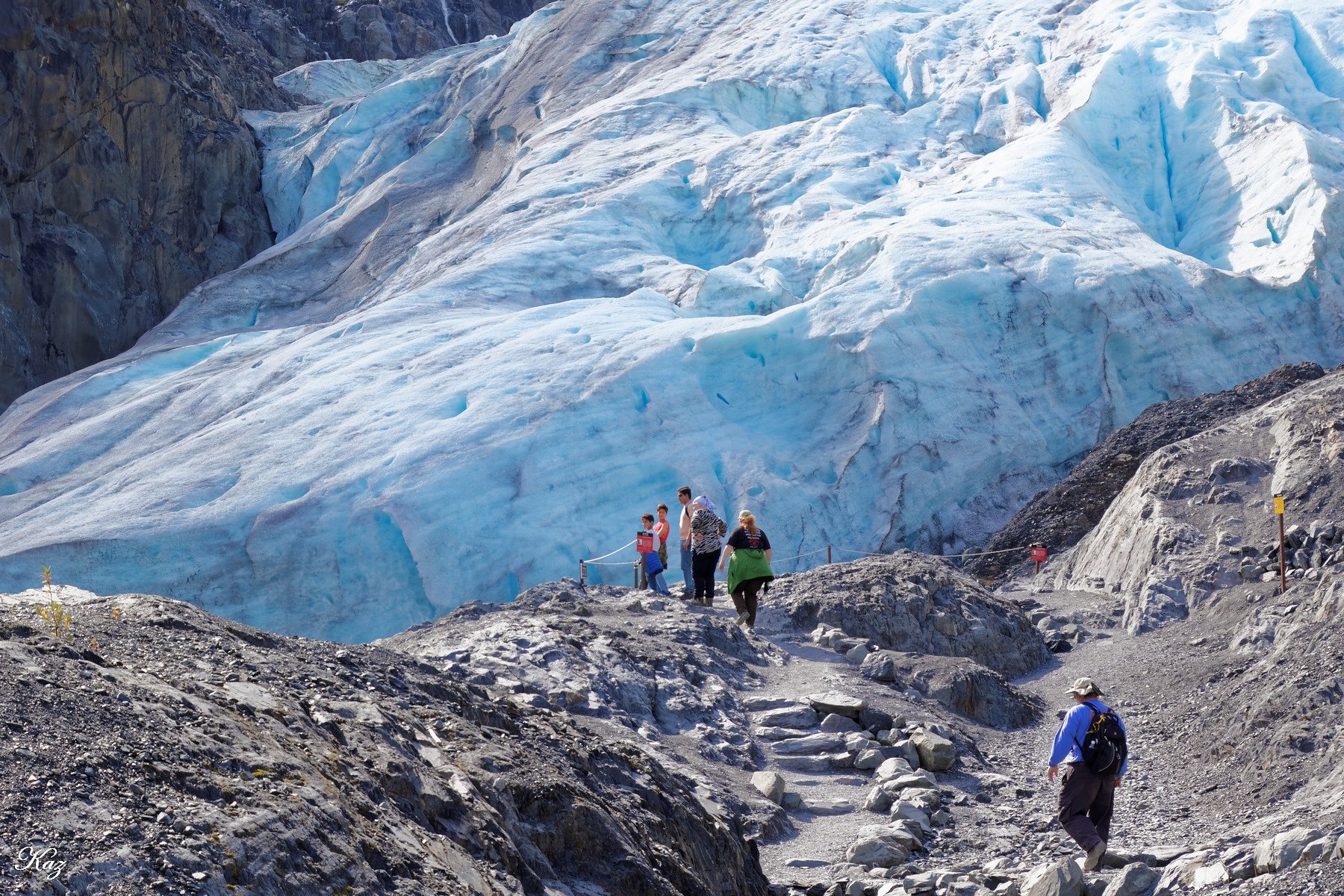 Exit Glacier