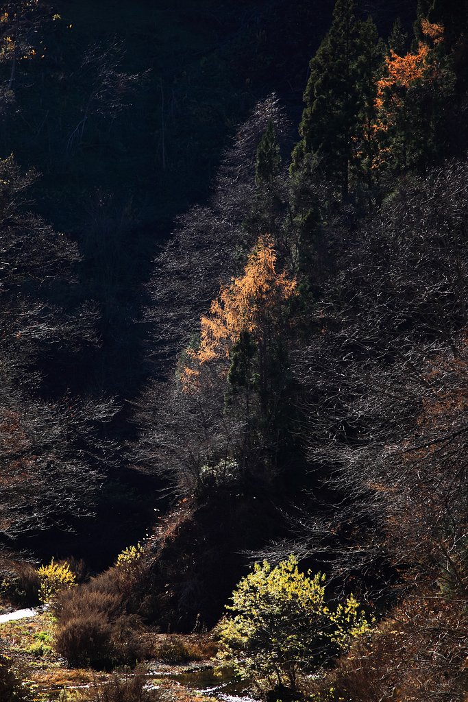 晩秋の遠部ダム＠青森平川