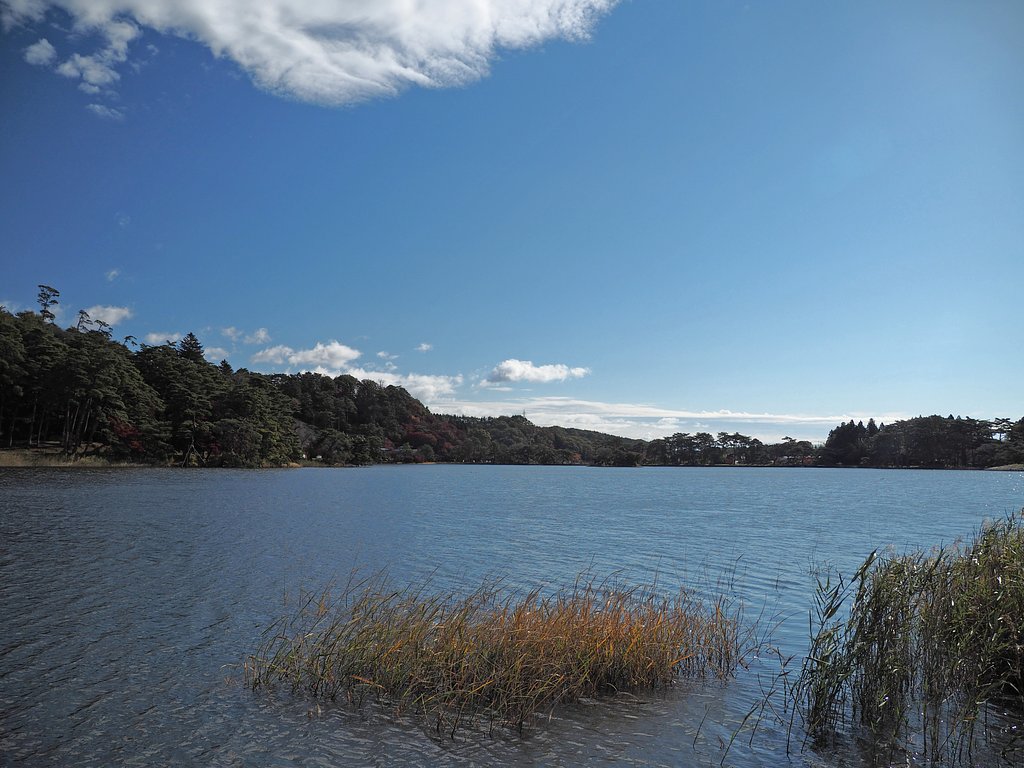 朝の南湖