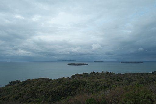 日本海