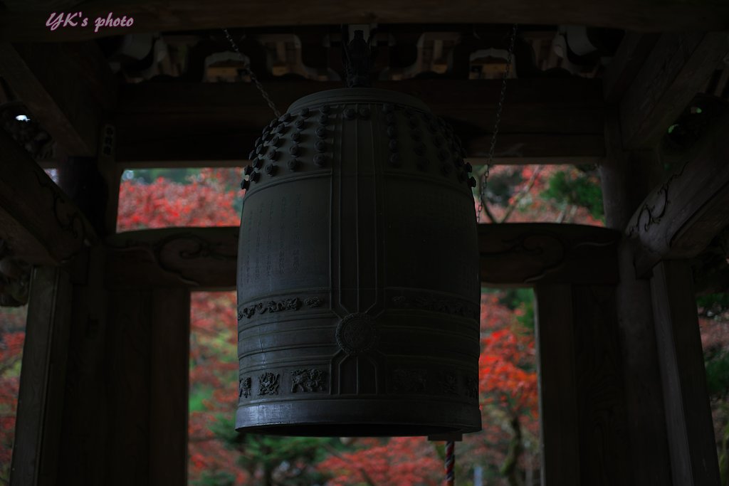 今年最初の紅葉撮影