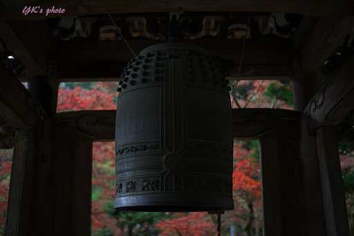 今年最初の紅葉撮影