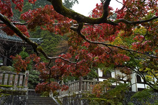 大雄山最乗寺