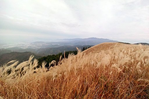 岩湧山