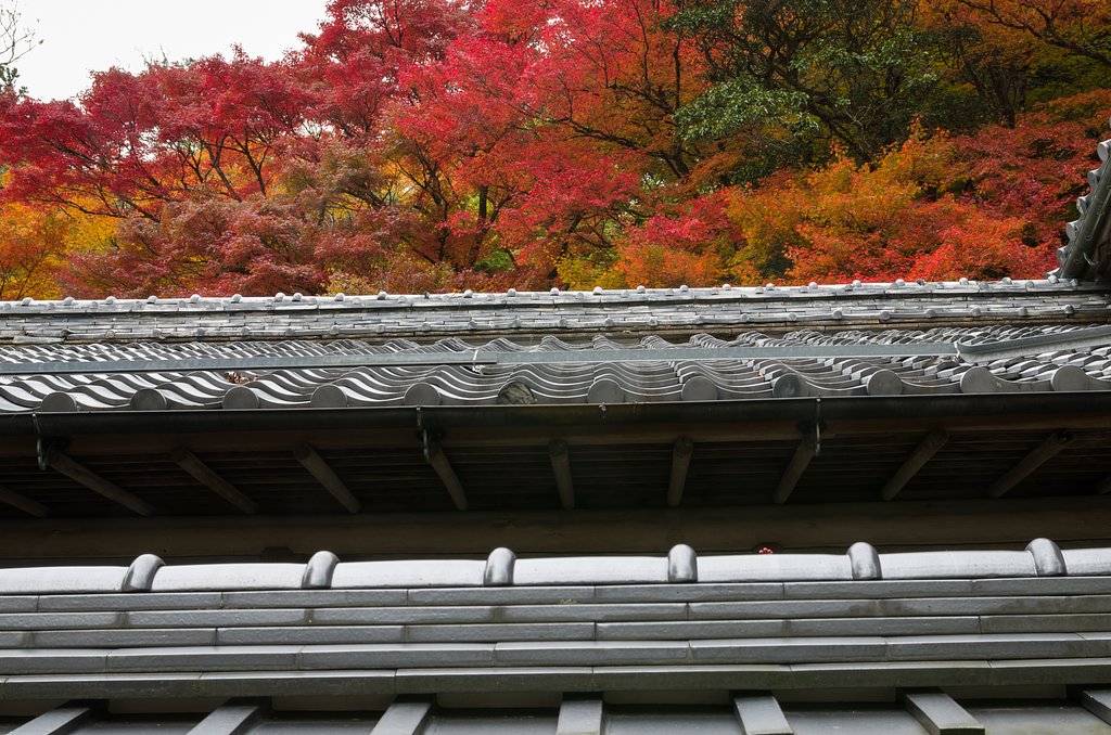 屋根