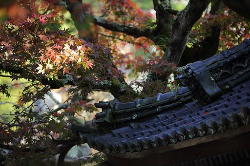 修善寺の朝
