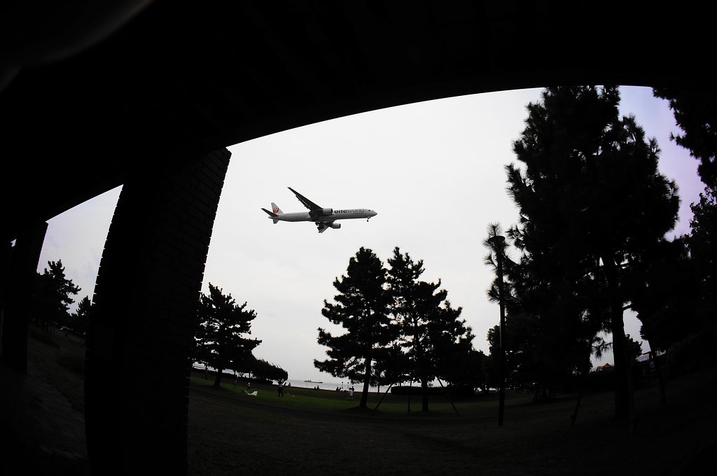 飛行機