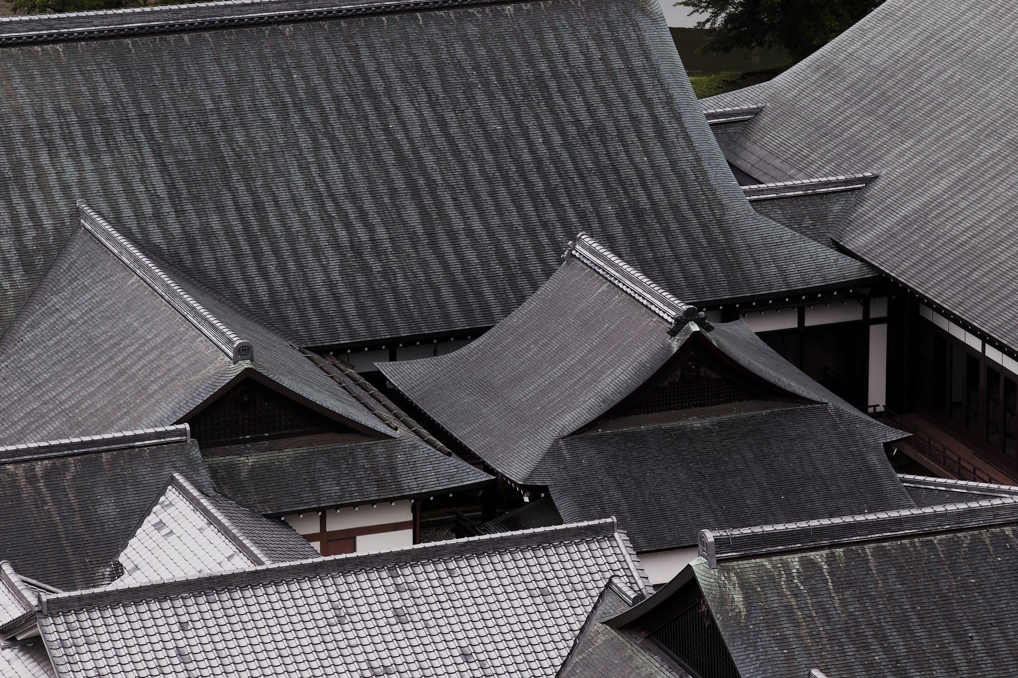 連なる屋根