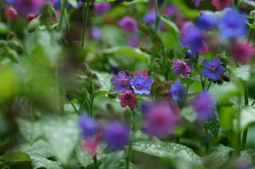【Purple】ひとり三役