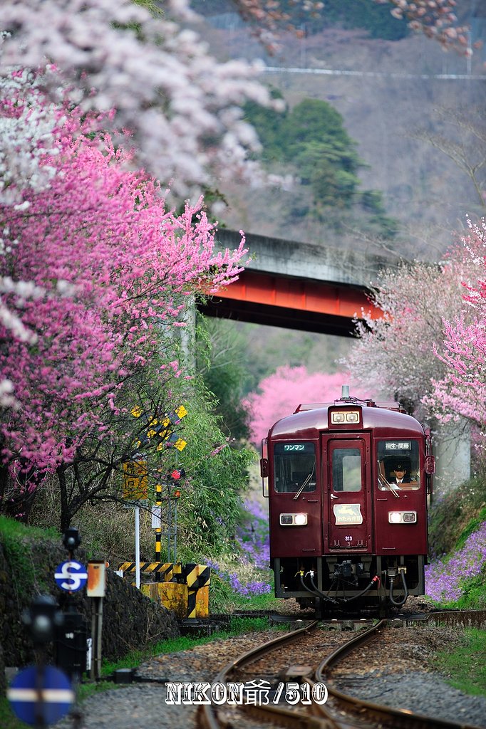 花桃の駅