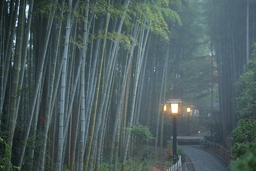 天城越え、してきやした