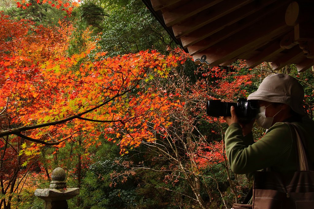 三滝寺の紅葉