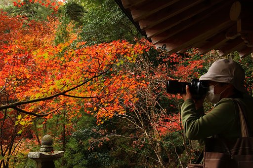 三滝寺の紅葉