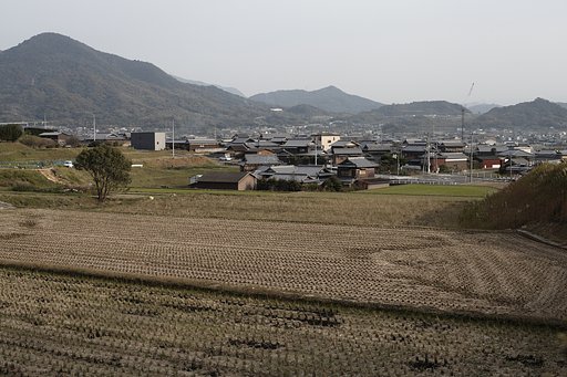 久しぶりのキヤノン3