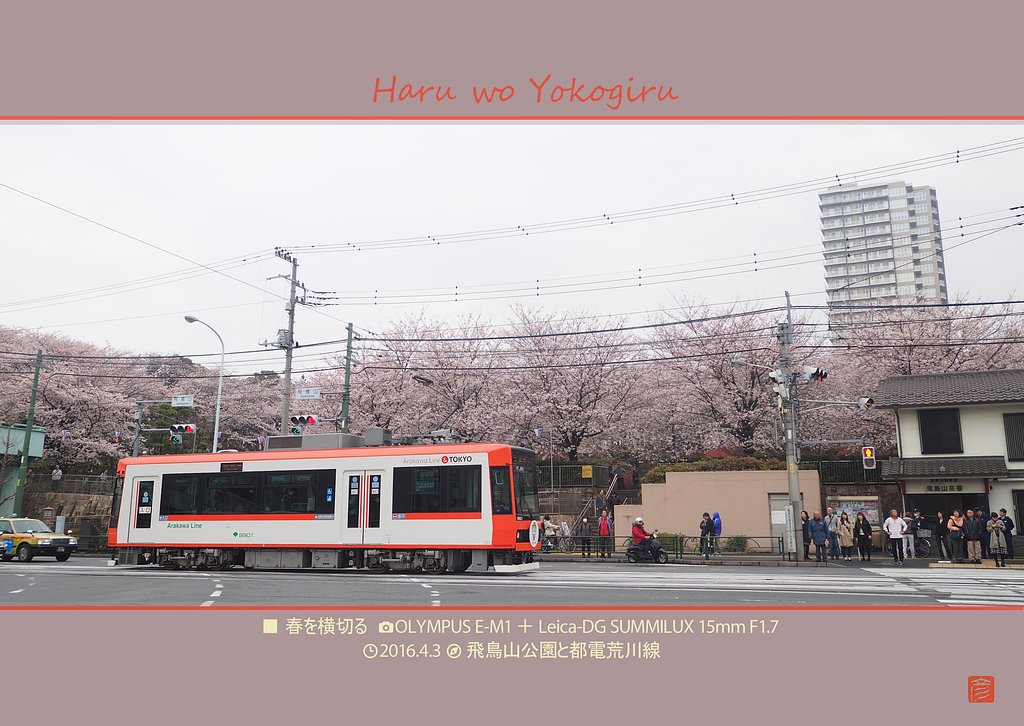 春を横切る