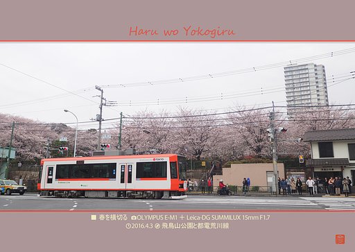 春を横切る
