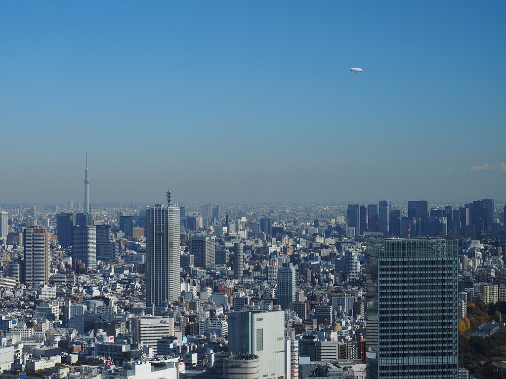 冬空のグッピー
