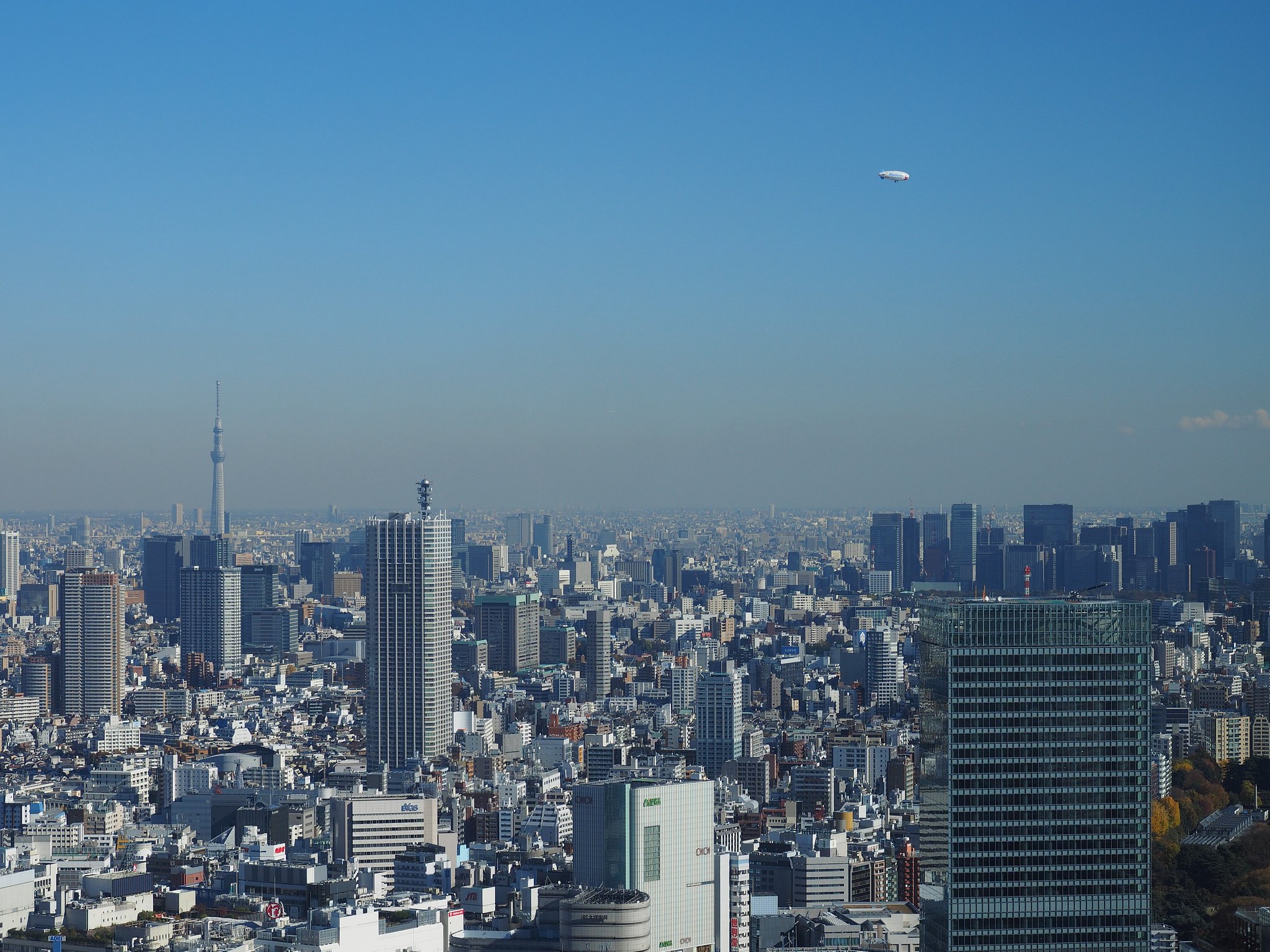 冬空のグッピー