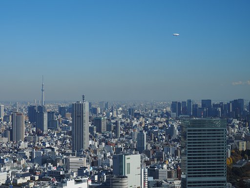 冬空のグッピー