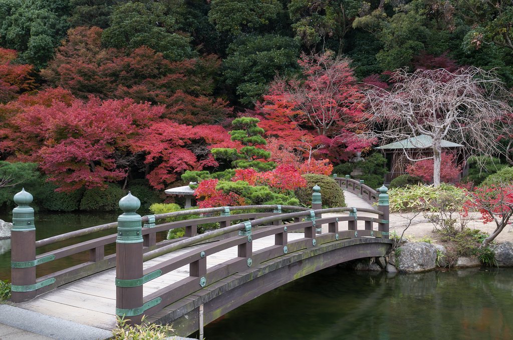 橋