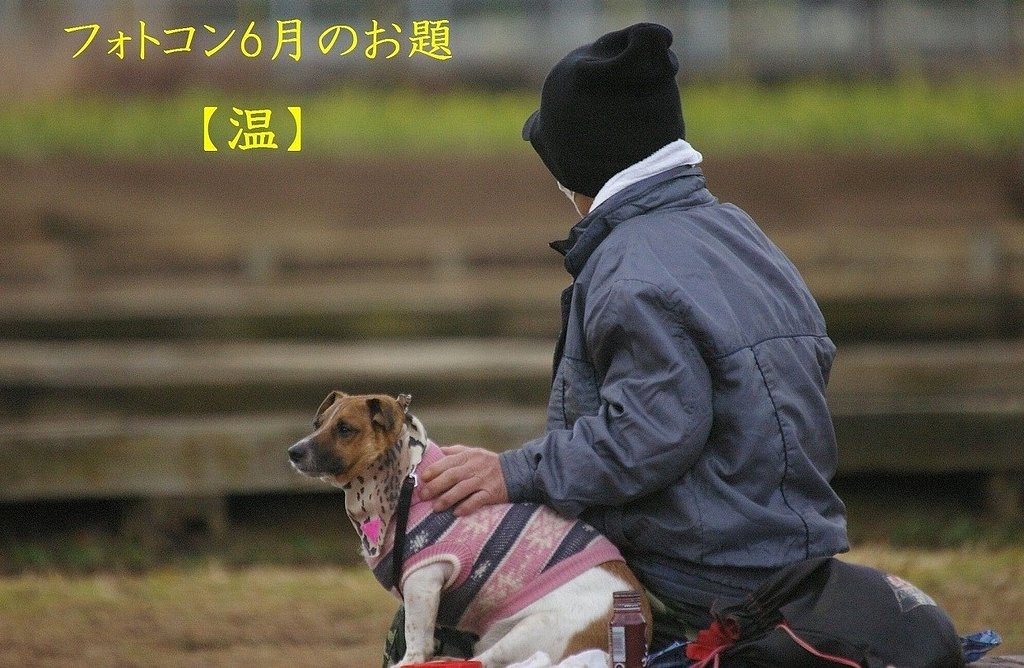 ６月フォトコンへのお誘い