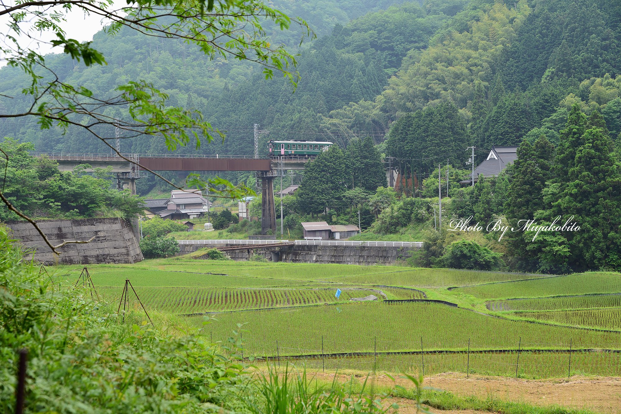 京丹と早苗