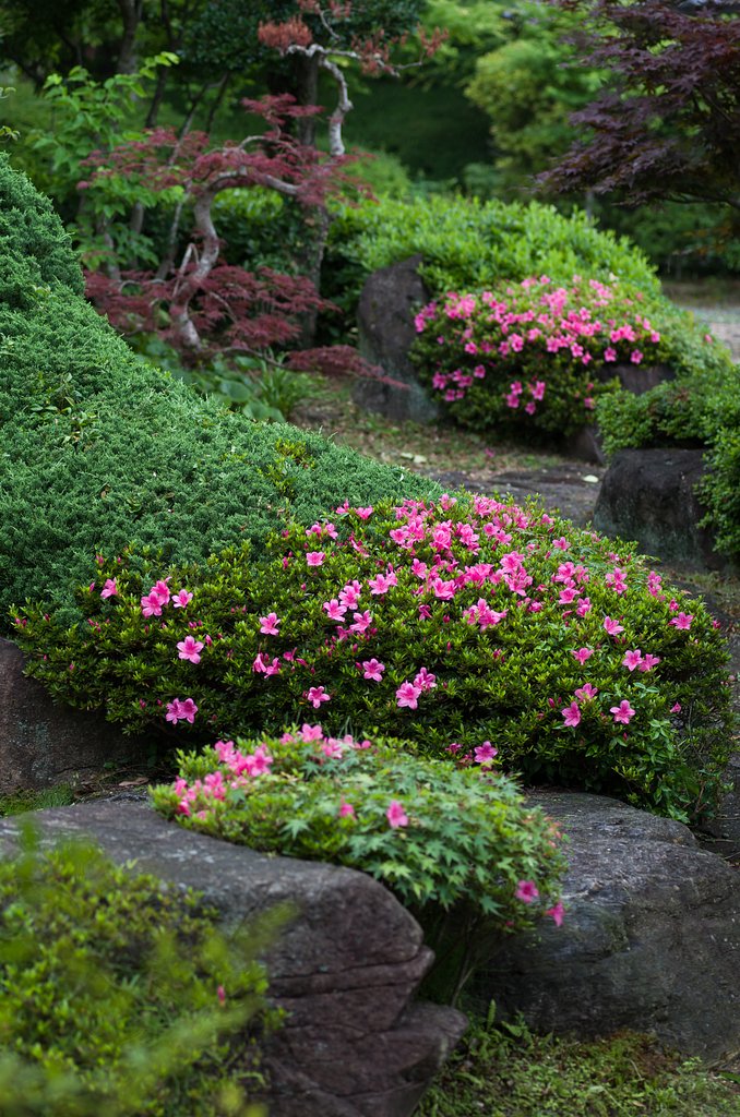 山寺