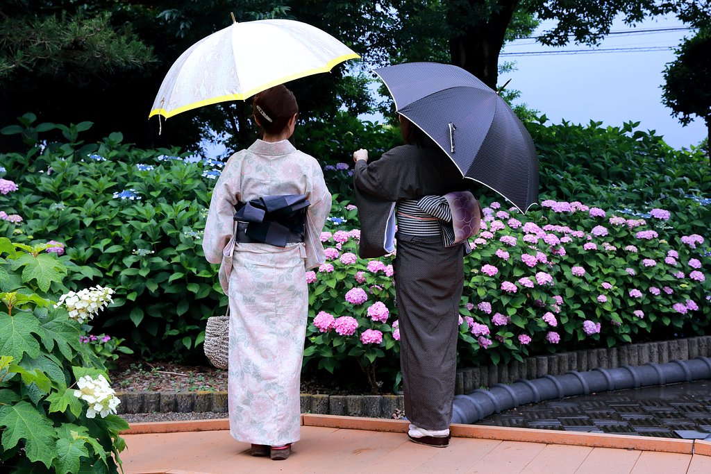 あじさい寺にて Ⅲ