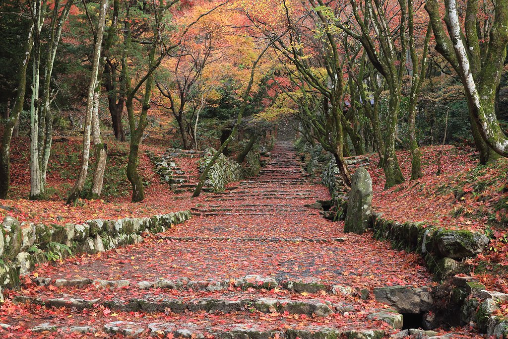 鶏足寺　Ⅱ