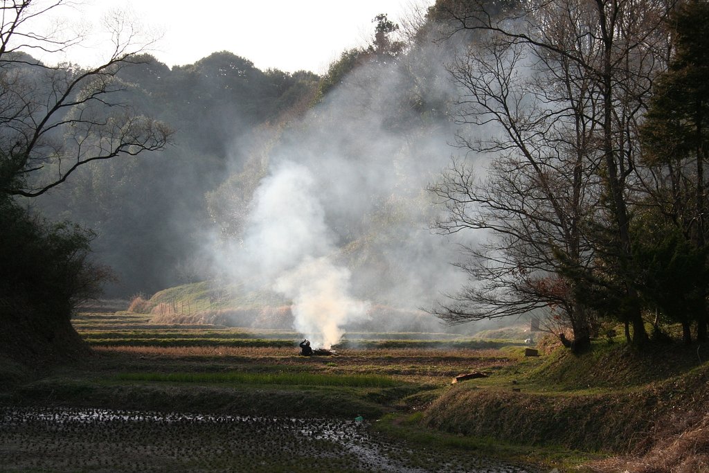 懐かしい風景