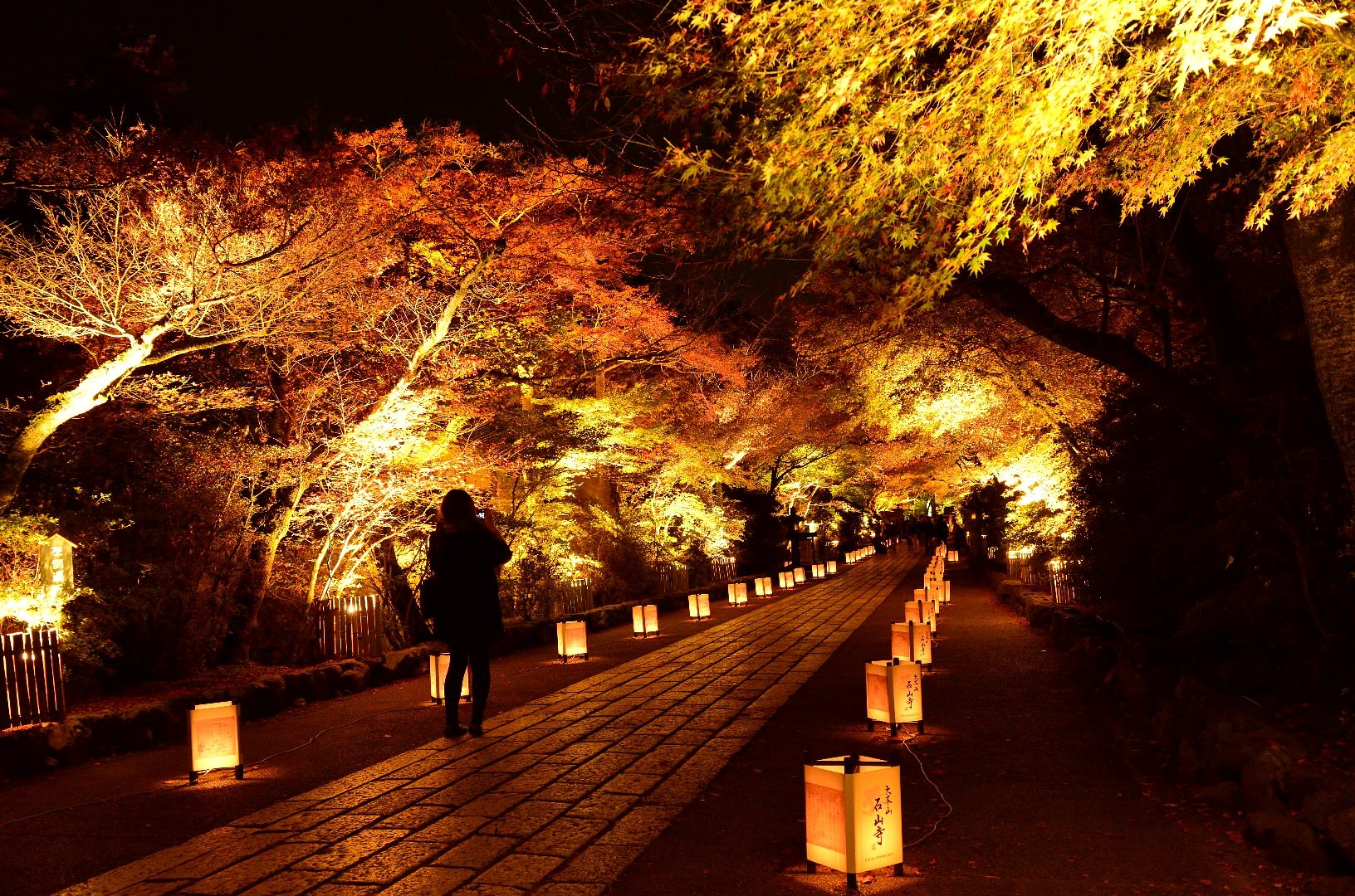 滋賀県石山寺のライトアップ