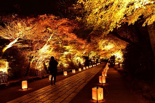 滋賀県石山寺のライトアップ