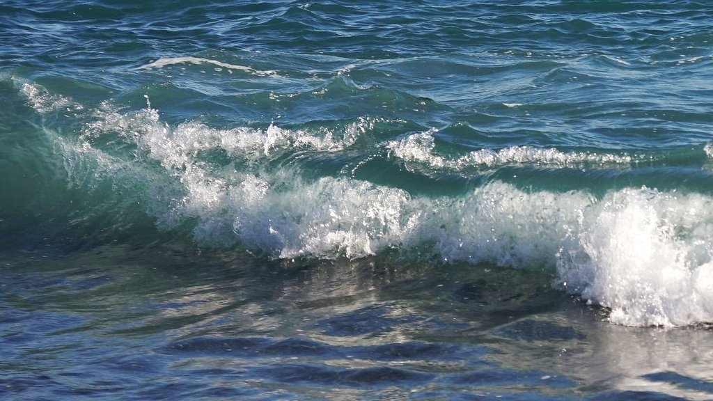 冬の海・・・？