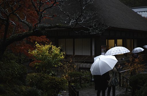 秋の雨 円通院大悲亭