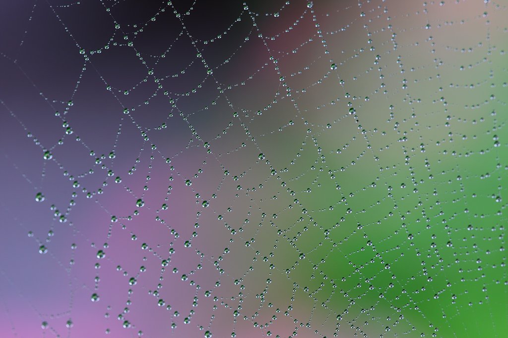 水滴ビーズ