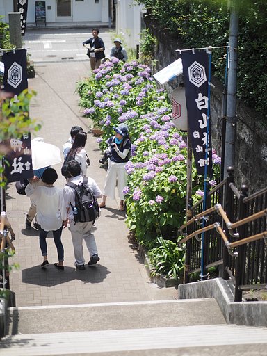 写真教室？