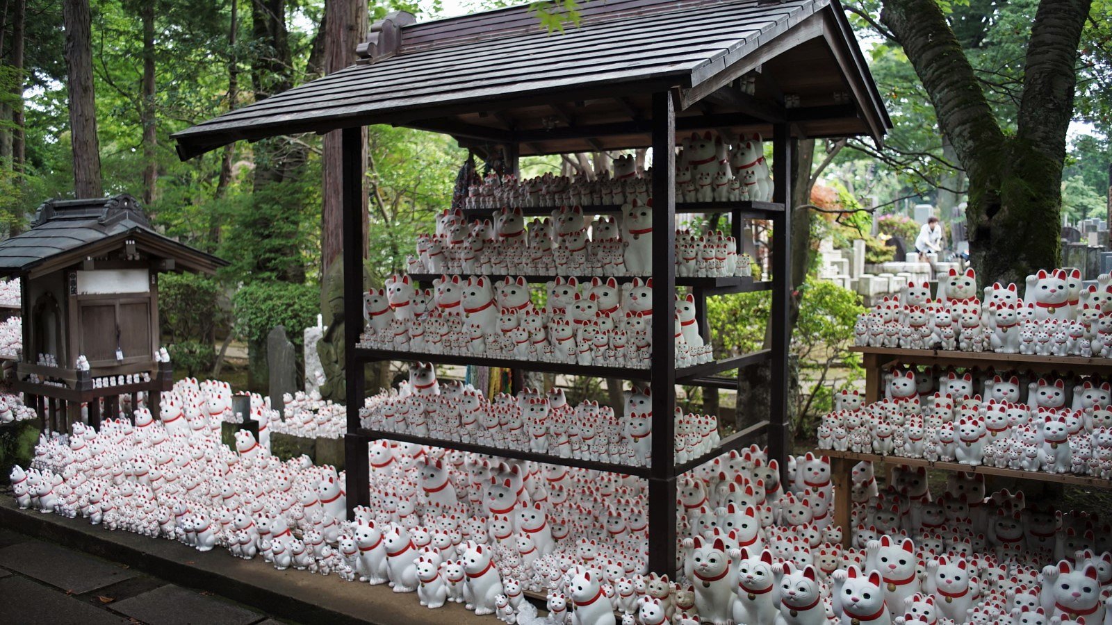 豪徳寺の招き猫