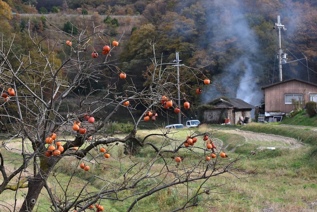 晩秋の山里
