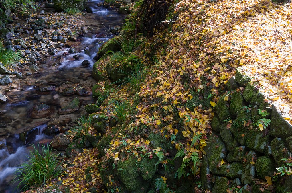 SIGMA 17-70mm F2.8-4 DC MACRO 