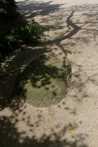 禅寺　〜昇竜〜