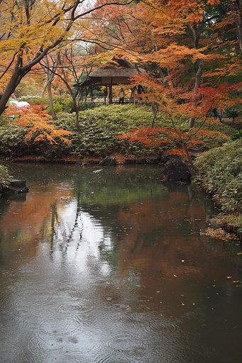 六義園～季節を見送る雨～