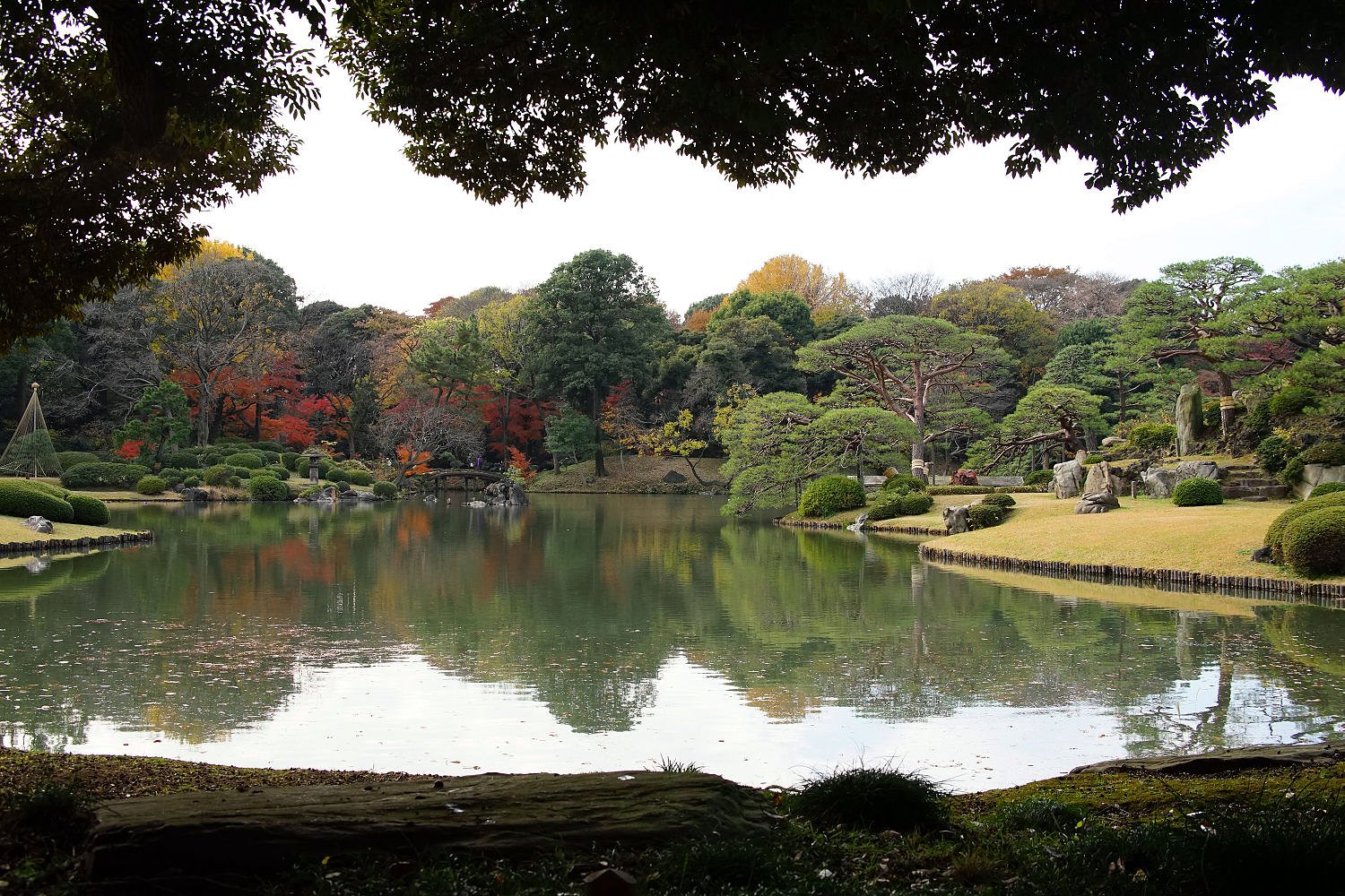 特別名勝・六義園