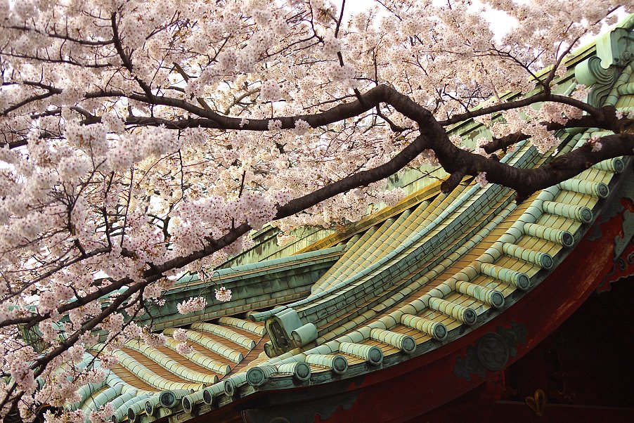 上野・寛永寺