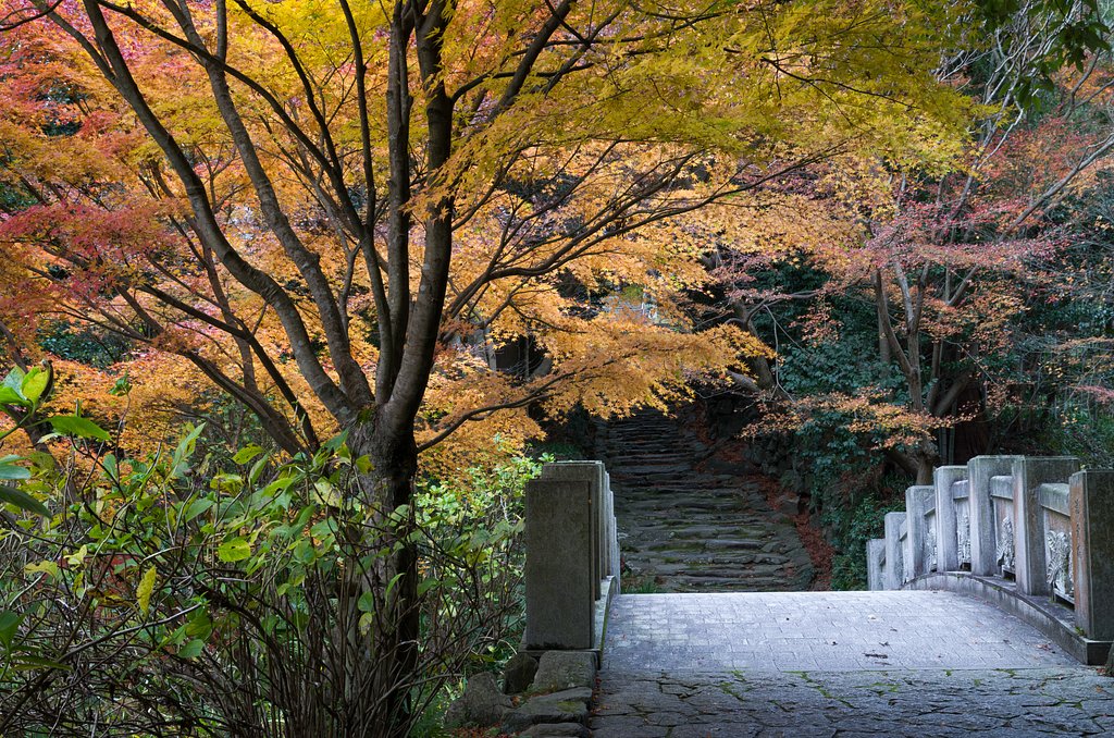 山寺